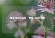 携手同行迎新春，共绘公司新篇章