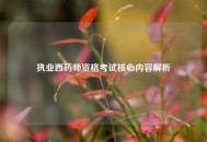 执业西药师资格考试核心内容解析