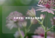 天津北辰：教育沃土育新苗