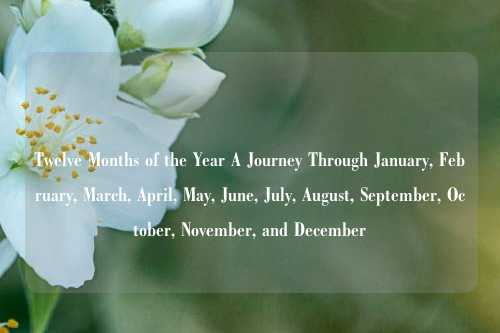 Twelve Months of the Year A Journey Through January, February, March, April, May, June, July, August, September, October, November, and December