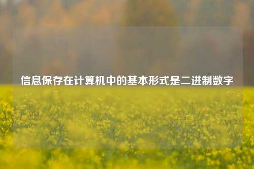 信息保存在计算机中的基本形式是二进制数字