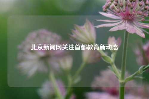 北京新闻网关注首都教育新动态