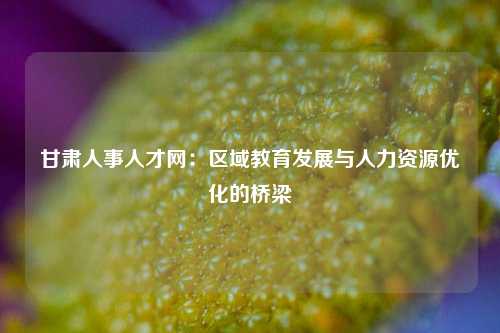 甘肃人事人才网：区域教育发展与人力资源优化的桥梁