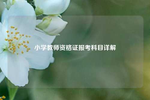 小学教师资格证报考科目详解