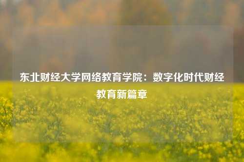 东北财经大学网络教育学院：数字化时代财经教育新篇章