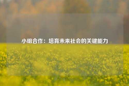 小组合作:培育未来社会的关键能力
