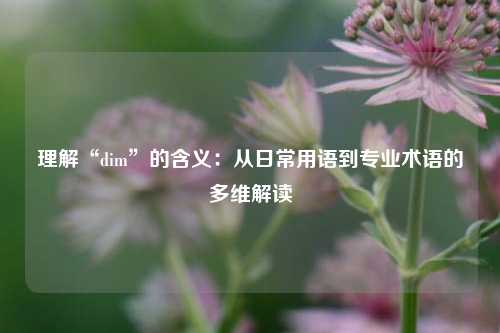 理解“dim”的含义:从日常用语到专业术语的多维解读